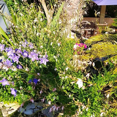 דירה Giovanna Ceyreste